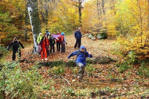 Resim Forest Lake Caravan Camping