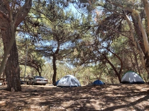 Resim Karataş Kumluk ve Tabiat Parkı