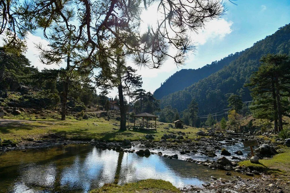 Resim Başpınar Tabiat Parkı