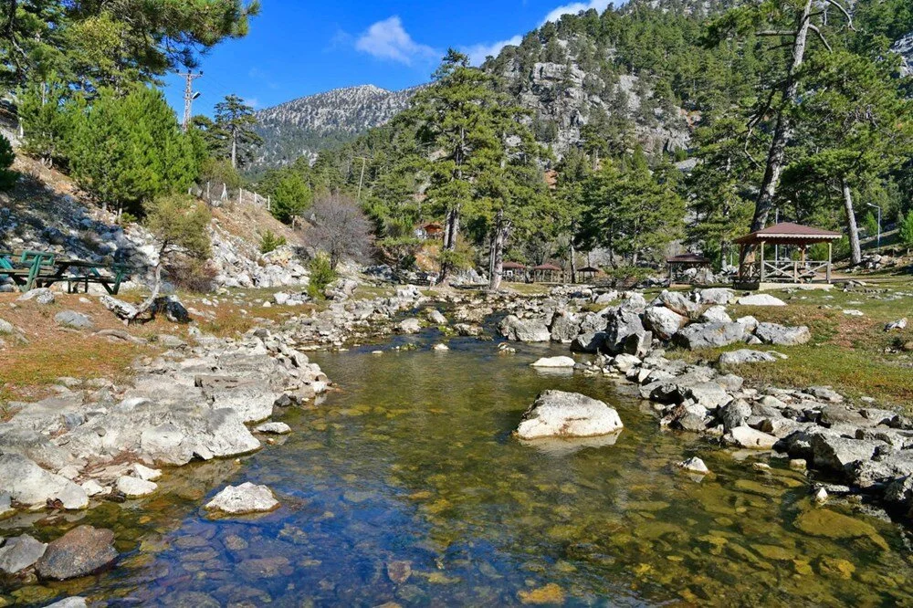 Resim Başpınar Tabiat Parkı