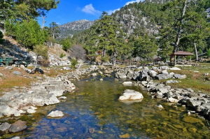 Resim Başpınar Tabiat Parkı