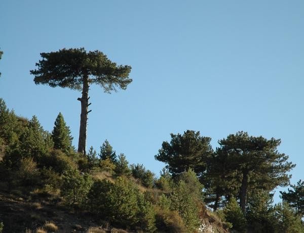 Resim Sünnet Gölü Tabiat Parkı