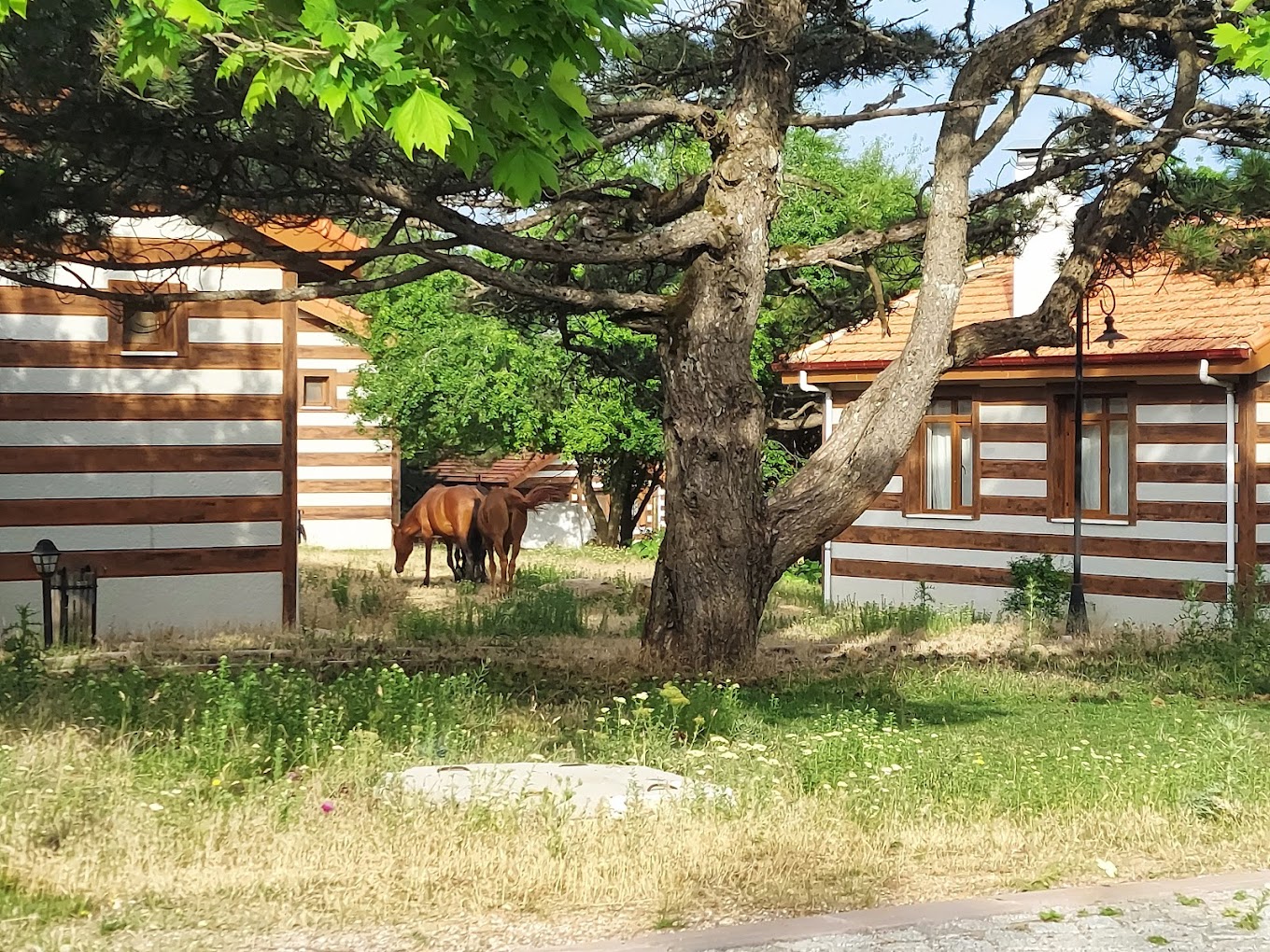 Resim Spil Dağı Milli Parkı