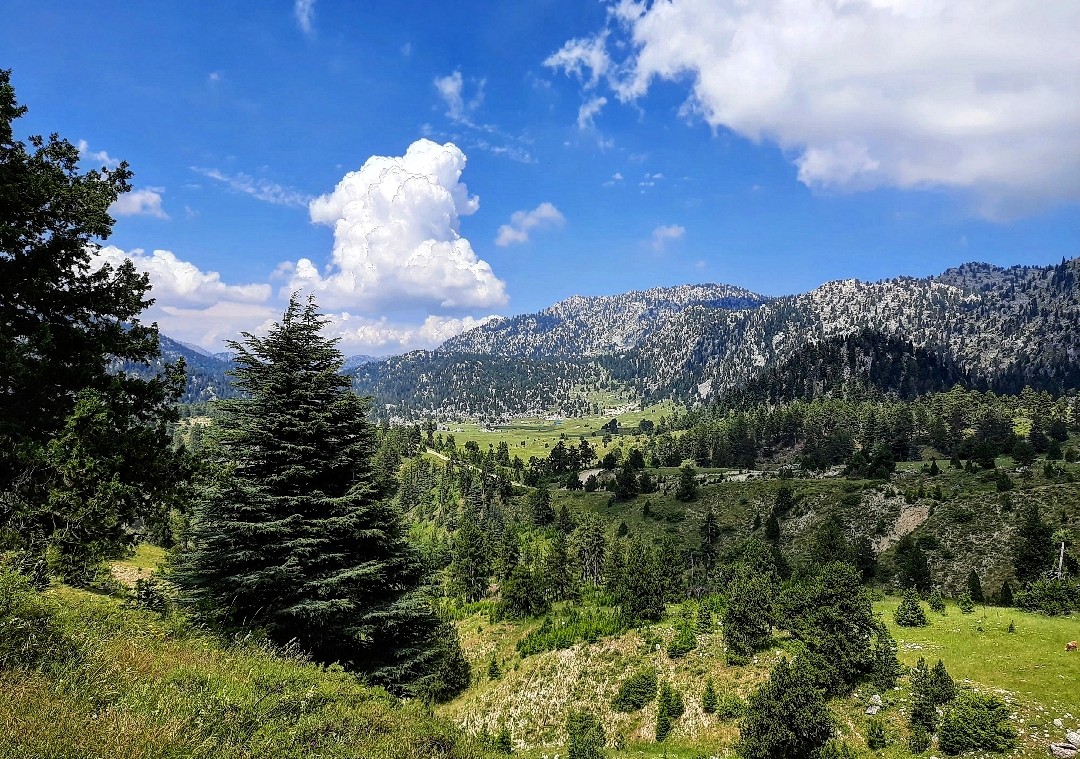 Resim Yavşan Yaylası Tabiat Parkı