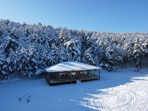 Resim Çatak Tabiat Parkı