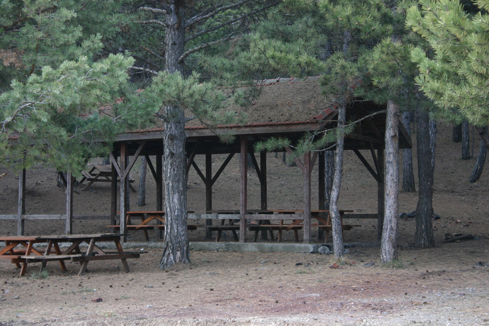 Resim Çatak Tabiat Parkı