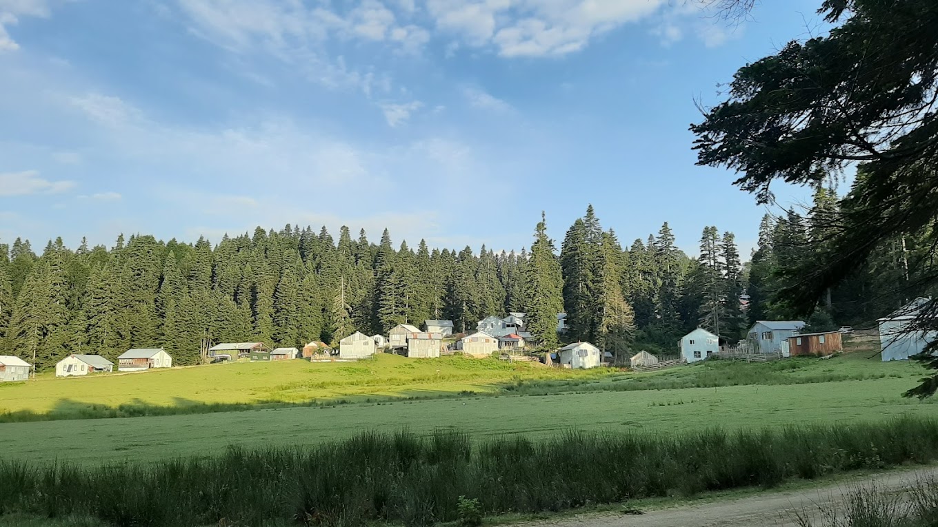 Resim Sinekli Yaylası Kamp Alanı